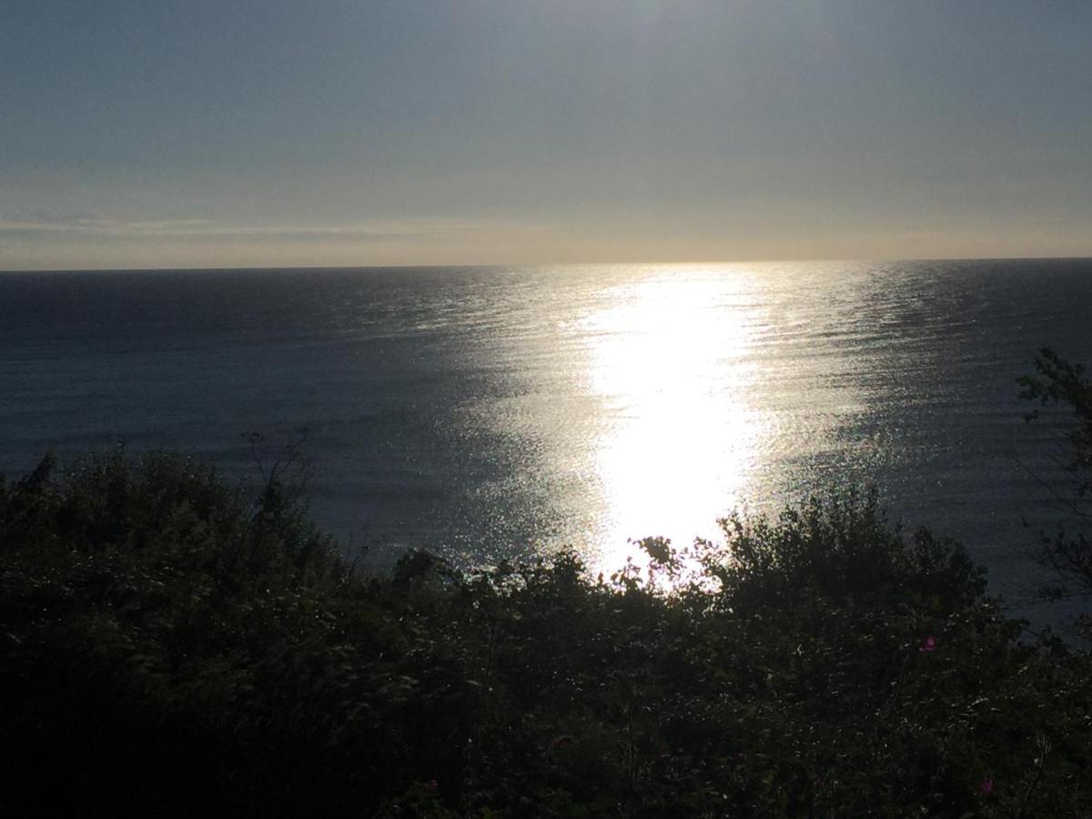 Fernleigh Bed & Breakfast Robin Hood's Bay Bagian luar foto